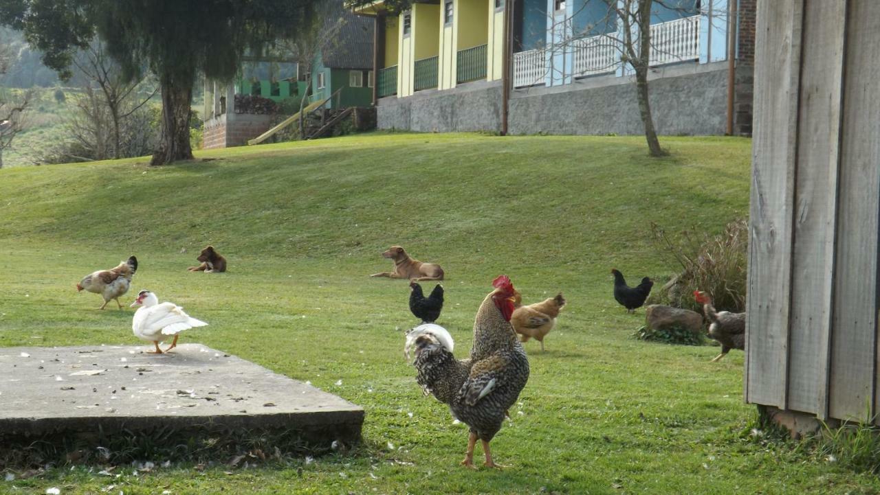 Recanto Dos Pioneiros Nova Petropolis Exterior photo